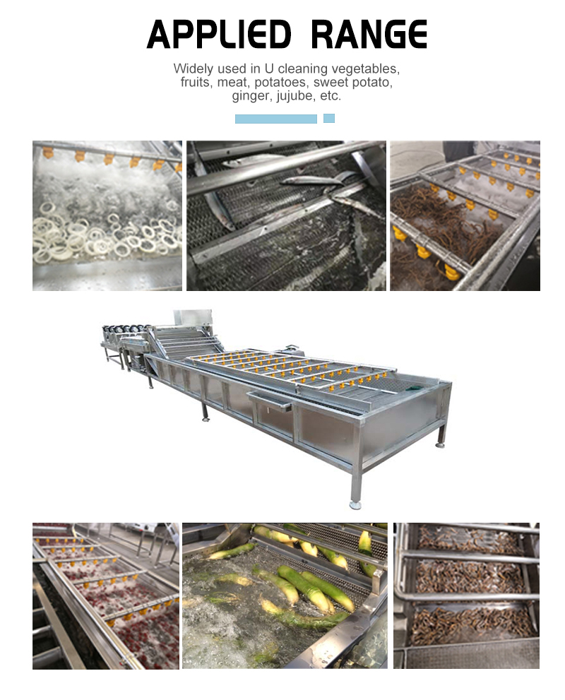 Industry Ultrasonic Fruit Processing Line For Vegetable Washing
