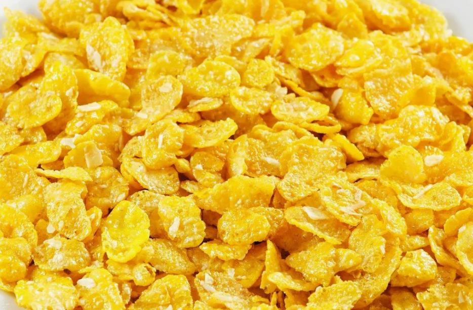 304 Stainless steel corn flake making machine
