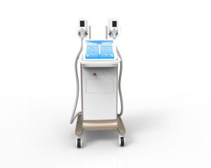 China 2018 Professional fat freezing body sculpting freeze belly fat for beauty center use wholesale