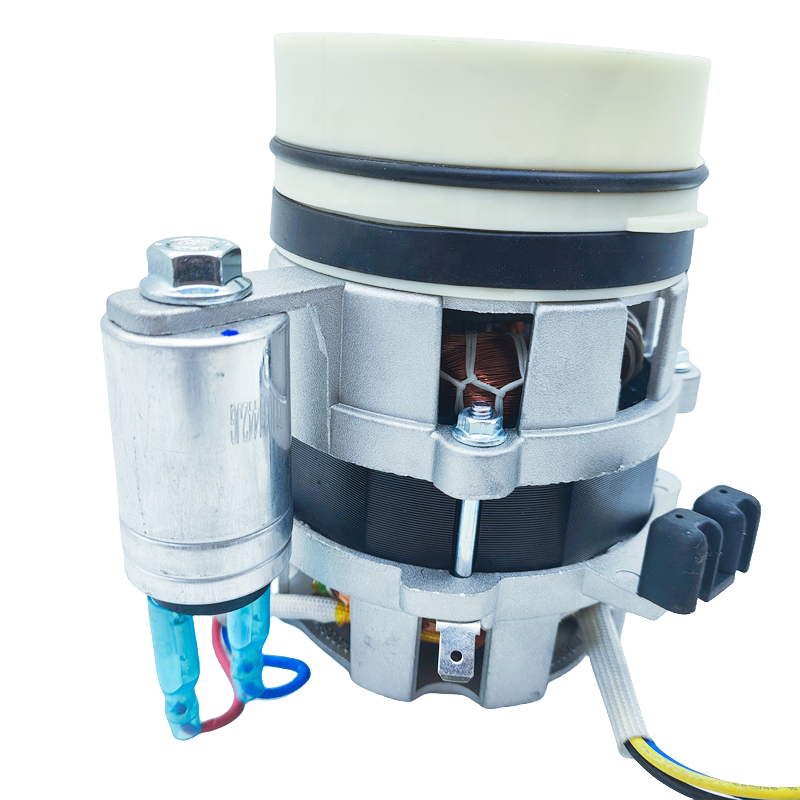 220V 50Hz 65/50W 0.28/0.23A Dishwasher Motor YXW48-2F-3 for Hansa/Korting/Gorenje