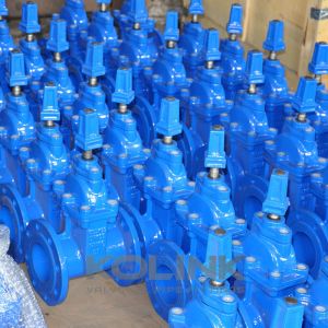 Resilient Seated Gate Valve 2-36 Inch Class 150-900