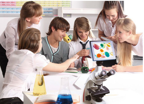 8 Inch Tablet 5MP Microscope Digital Camera