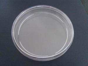 China Disposable Plastic Culture Dish Petri Dish 90X15mm one room wholesale