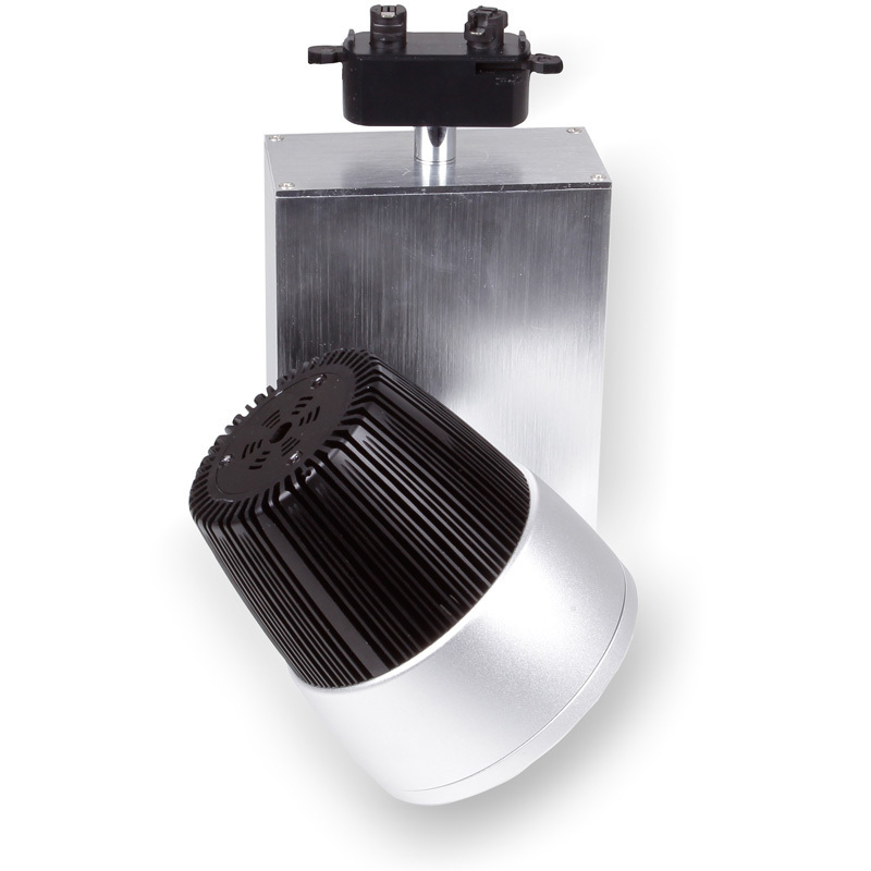 Professional Manufacturer Epistar chips 2*10W COB LED Tracklight