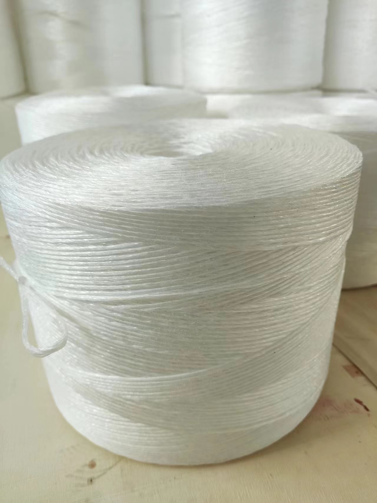 UV Stability Split Film White 5kg Spool Tomato Plant Twine for Plant Tying and Training Applications