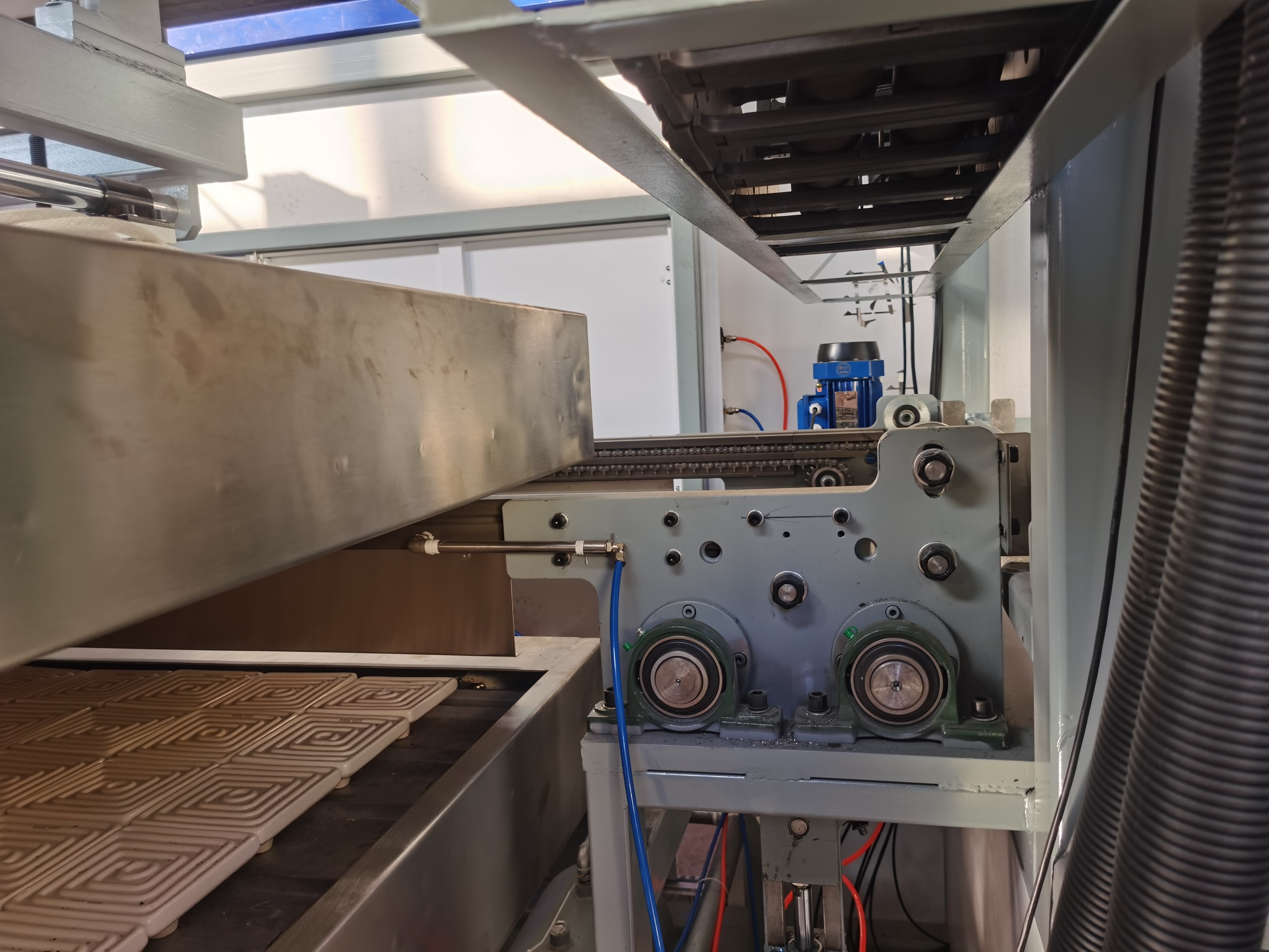 Lunchbox Blister Tray Making Machine Multi Station Fully Automatic