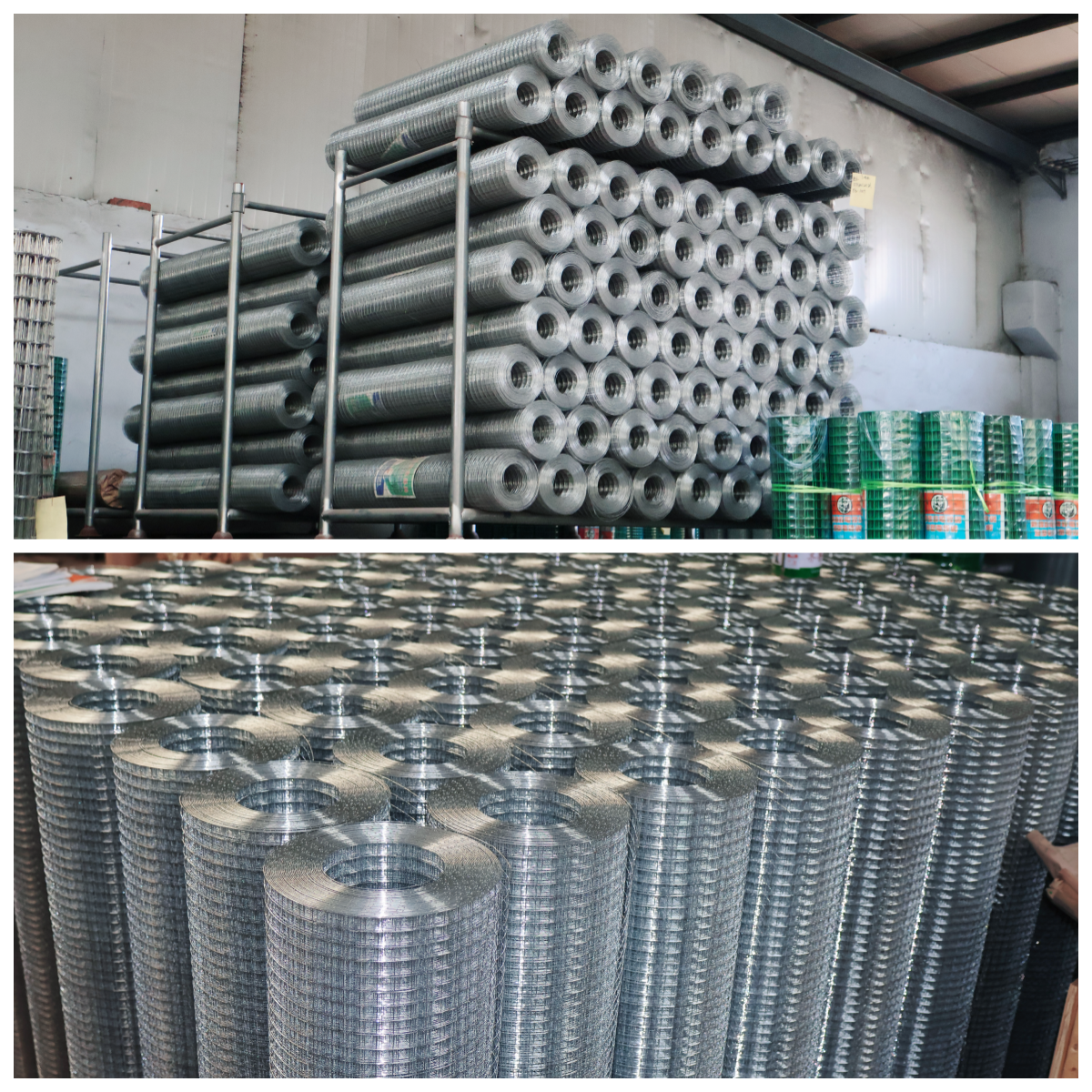 1/2"X1/2" Galvanized Welded Wire Mesh Rolls For Garden Fence