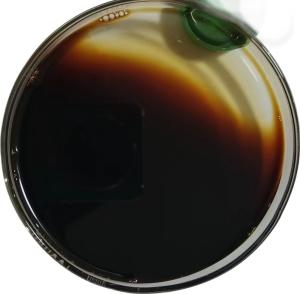 China Soil Lysine Liquid Fertilizer Dark Brown Promote Growth wholesale