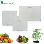 LED Grow Light Full Spectrum Samsung LM281B 65W Grow Lights for Plants Flowers
