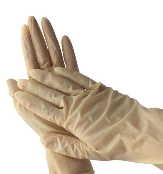 Economical Powder Free Disposable Latex Gloves Economical Powder Free Disposable Latex Gloves
