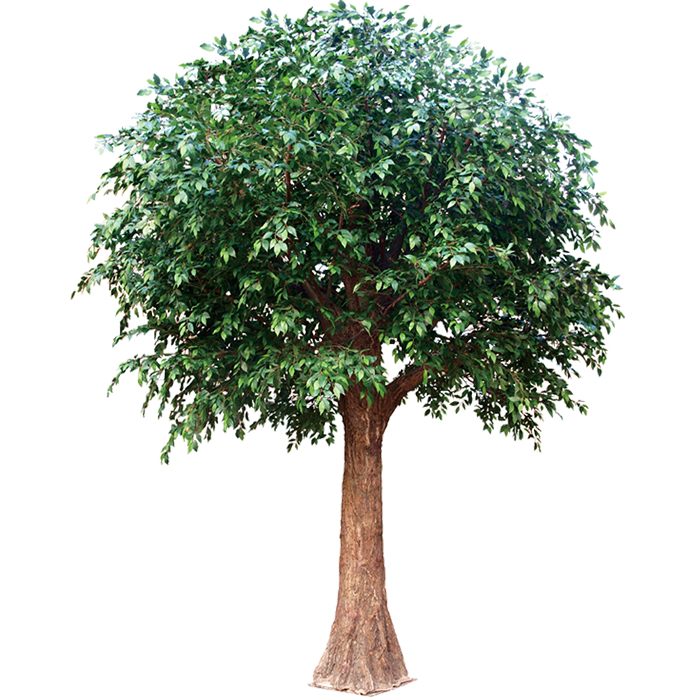 10-13ft Customizable Large Artificial Banyan Ficus Tree With Dense Canopy - Lobby Centerpiece For Commercial Spaces