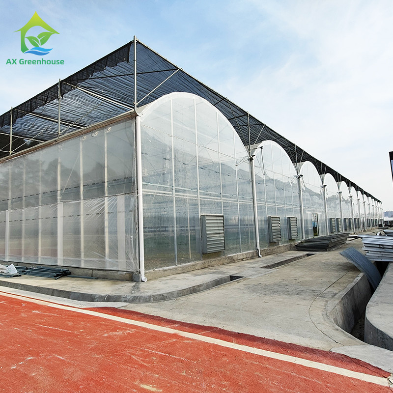 Commercial Customized Multi Span Agricultural Film Poly Tunnel Vegetable Greenhouse