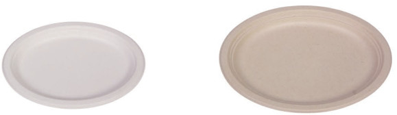 Compostable Biodegradable Disposable 9inch 10inch Sugarcane Sugar Cane Bagasse Party Dinner Plate