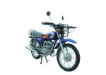 125CC Gas Powered Motorcycle , Enduro Sports Gas Engine Motorcycle Triumph