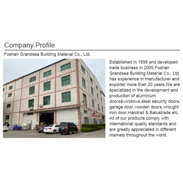 American Style High Quality Anti Theft Aluminum Solid Wood Metal Stainless Steel Security Front Entrance Pivot Door