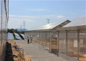 China Roof Mounted Greenhouse Solar System Photovoltaic Power Plants Agricultural Crops wholesale
