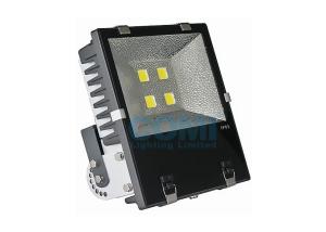 China 200W Brigdelux Tunnel LED Flood Lights 19459LM With100 - 277VAC Mean Well Driver wholesale