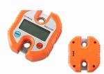 150KG Large Capacity Crane Weight Scale With ABS Engineer Plastic