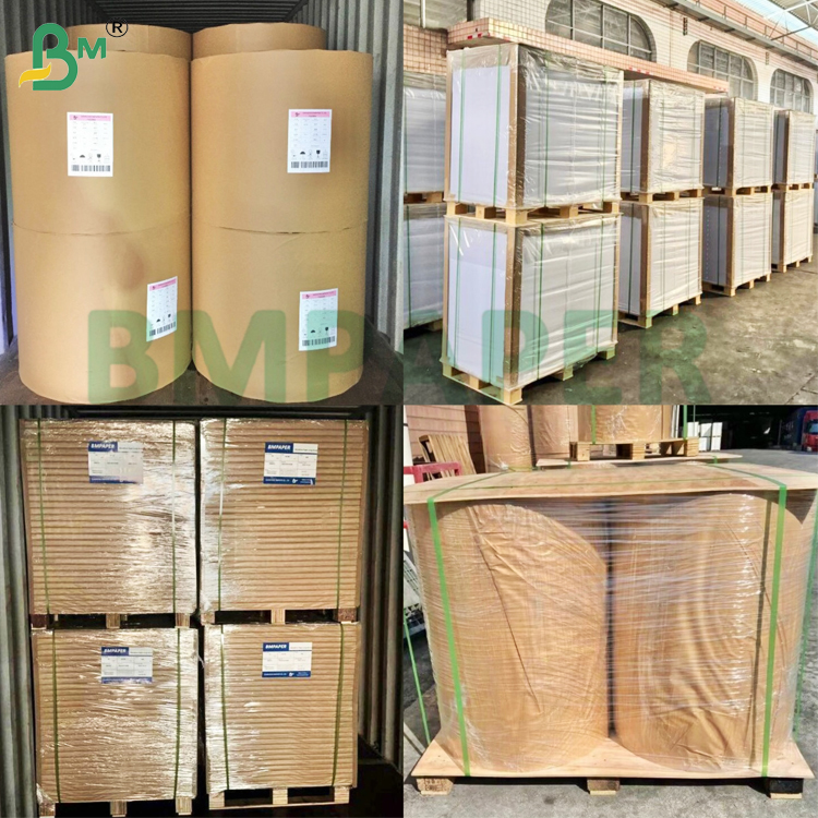135g 150g White Food Grade Cup Base Paper For Coffee Cup