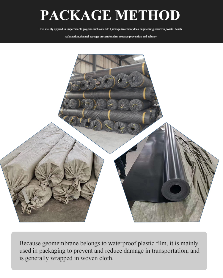 Fish Pond Shrimp Pond Dock Engineering Reservoir Geomembrana Waterproof Membrane Dam Liner