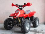 ATV products 110cc,125cc