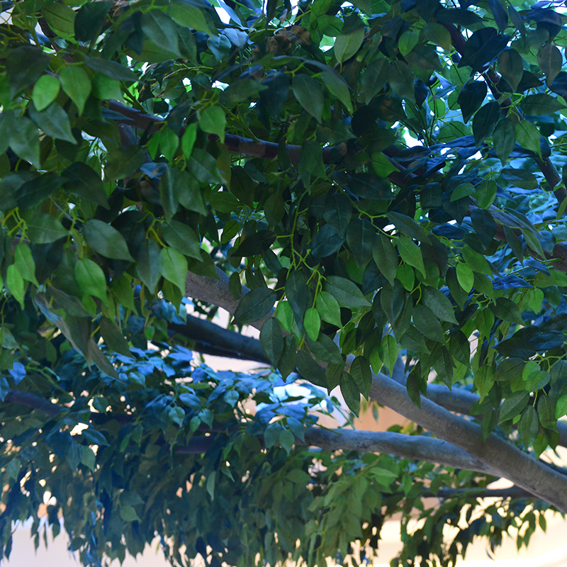 Customized Height faux banyan tree fire resistant Large Commercial Ficus Artificial Tree For Indoor Decoartion