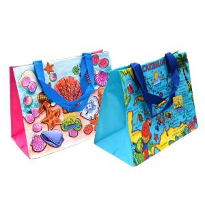 China TNT 3000pcs 120gsm 35x39.5cm Polypropylene Woven Bag wholesale