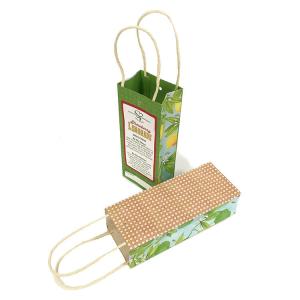 China 11x5x19 Biodegradable Small Boutique Gift Kraft Paper Shopping Bags Bulk wholesale