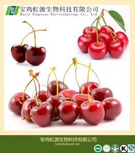 China 100% Soluble Acerola Cherry Extract Powder wholesale