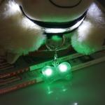 PET LED flashing collar necklace Buckle Safety Night Light bone dog ID tag