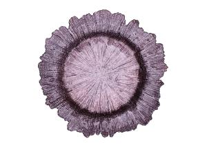 China Irregular Edge Flower Electroplated Round Glass Plates 13 Inch wholesale