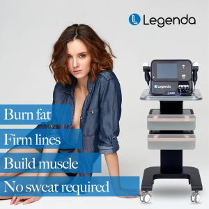 China 448hz High Power Legenda Machine 300W Tecar Therapy Machine wholesale