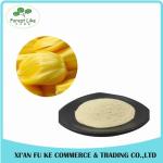 High Quality Natural Jackfruit Extract Powder