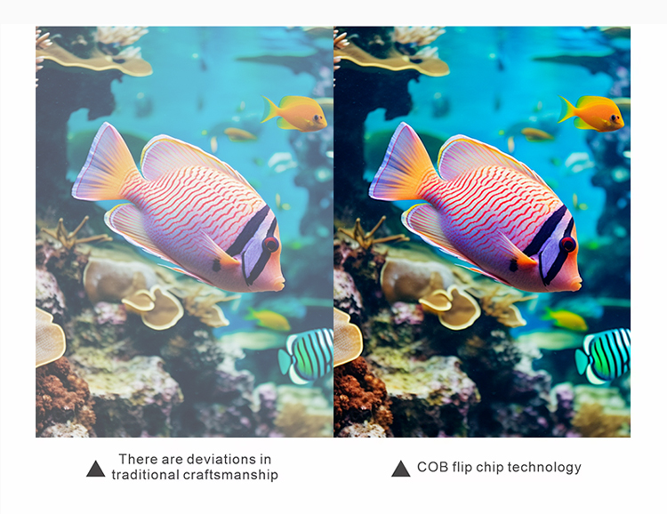 P1.25 Small Pitch LED Display 600x337.5mm Module Size Indoor LED Wall Display Panel