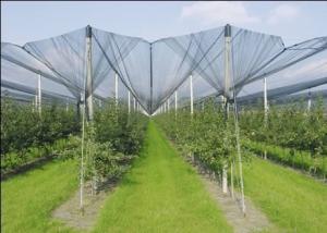 China Agriculture Dark Green HDPE Anti Hail Nets , 10% - 20% Shade Rate wholesale