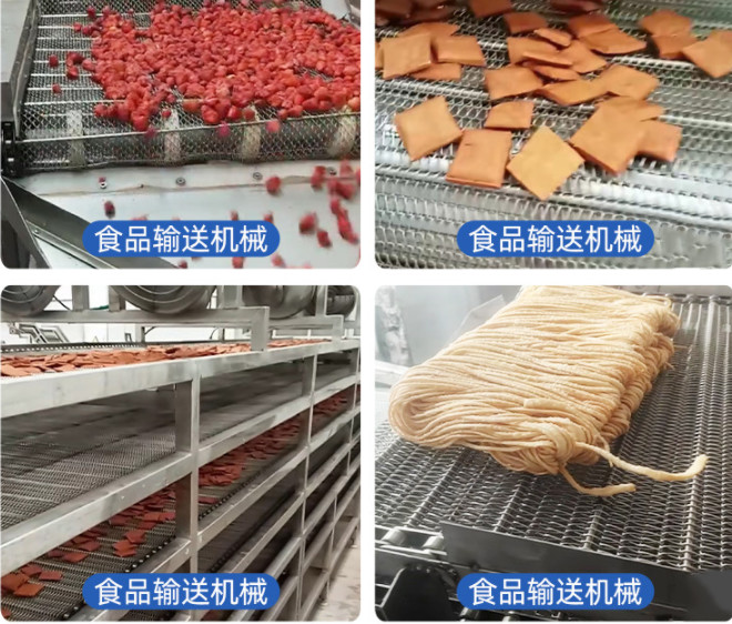 Mechanically Driven 316l Ss Wire Mesh Belt Cleaning Vegetable