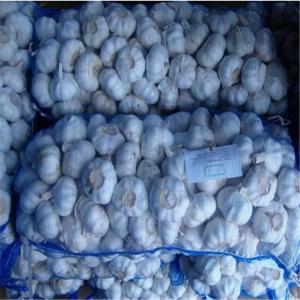 China GARLIC WITH 10KG MESHBAG PACKAGE wholesale