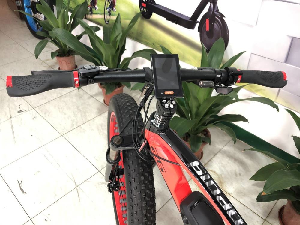 Bafang Full Suspension Mid Drive Ebike Fat Tire Snow Bike 48v 1000w 13Ah