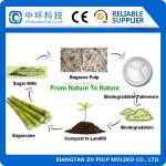 Disposable Thermo Molding Machine , Biodegradable Lunch Box Making Machine 120kw