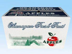 China Best Designed And Best Quality Corrugated Carton Box For Vegetable And Fruits wholesale