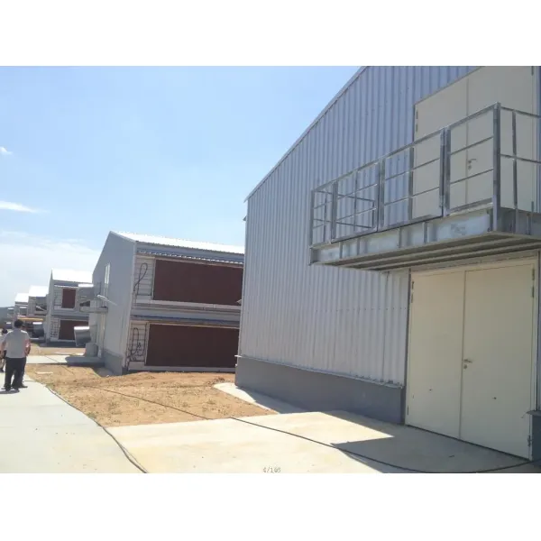 Metal Prefab Anticorrosion Light Steel Structure Poultry House