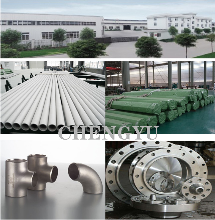 Hot Rolled Polishing Surface Stainless Steel Welded Pipe ASTM A213