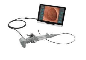 China 3.0mm Veterinary Endoscopy Equipment Flexible Pet Bronchoscope wholesale