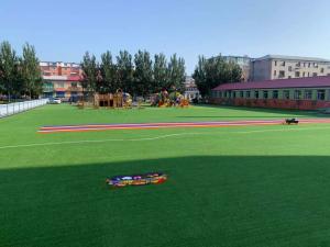 China 20MM Fire Resistant High Density Realistic Artificial Turf wholesale