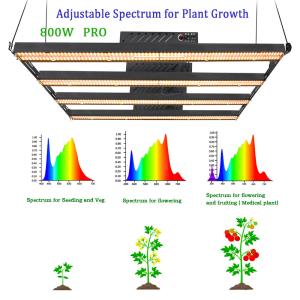 China Oslon Ssl 800W Hydroponic Led Grow Lights SAA UV Dimmable wholesale