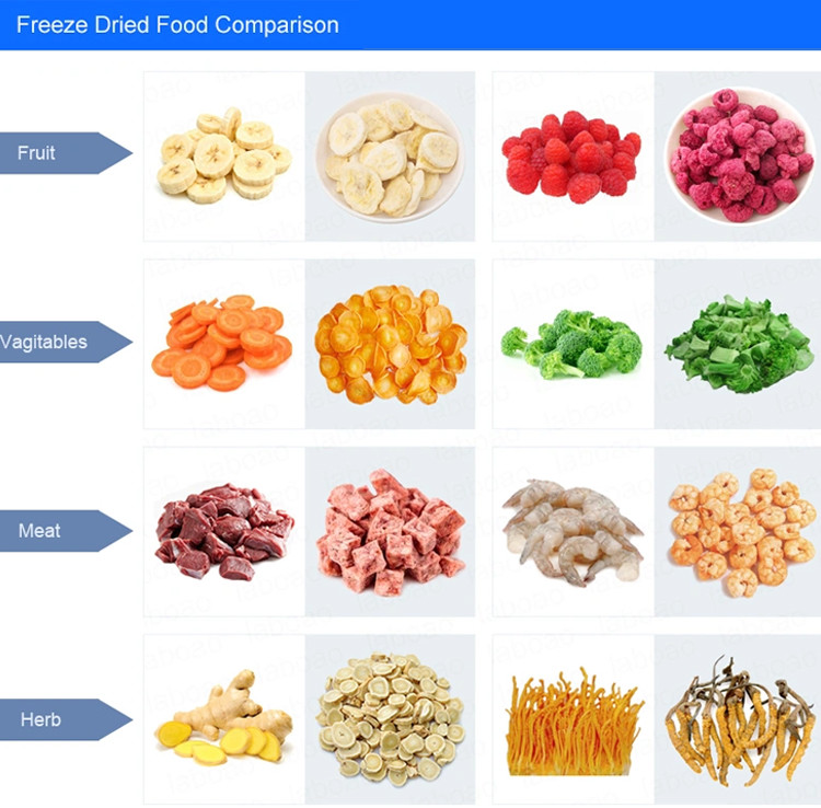 SED -35R Vegetables Food Commercial Freeze Dry Machine Customizable Low Noise Power Install 80kw