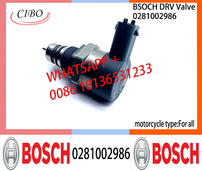 BOSCH DRV Valve 0281002986 Control Valve 0281002986 for all