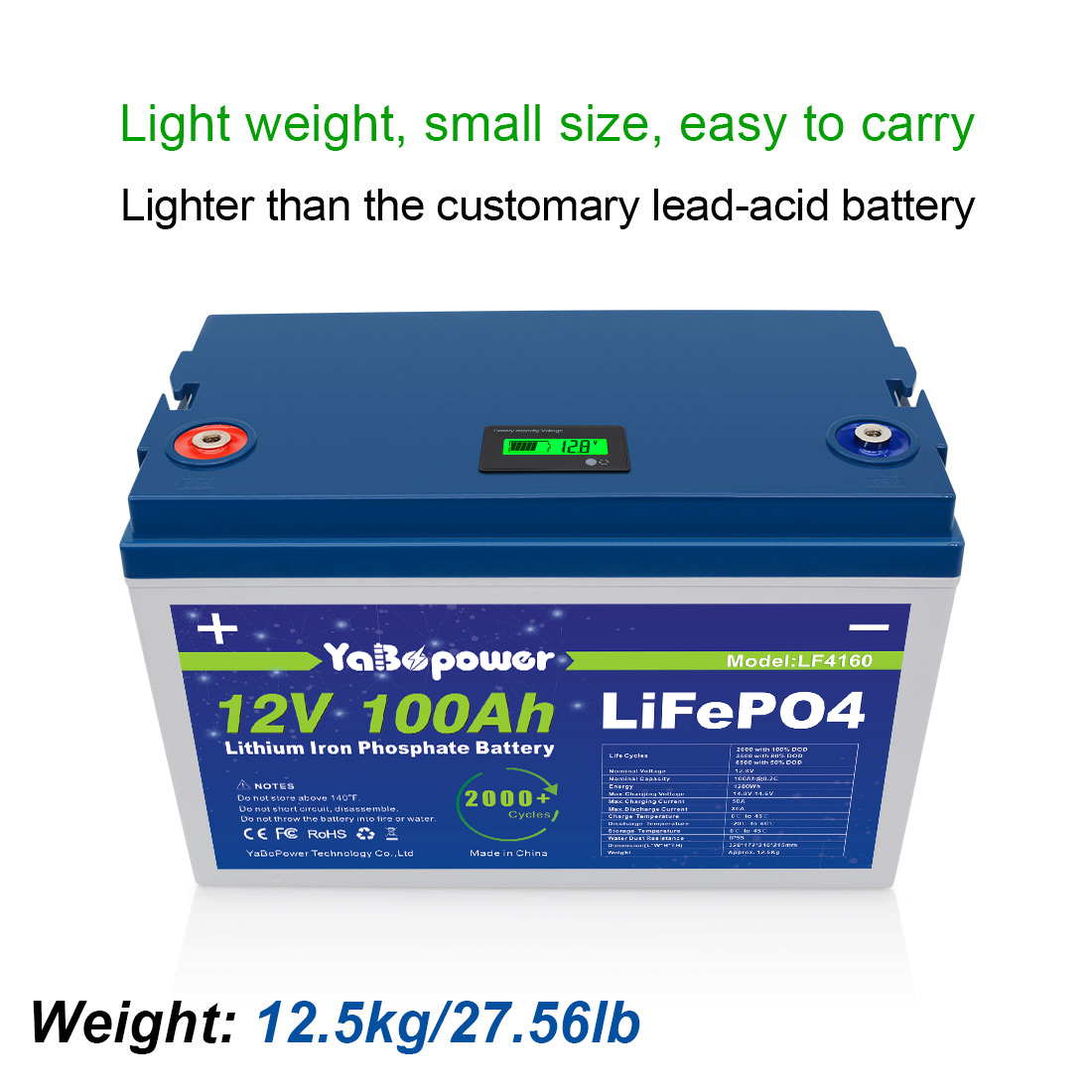 Lifepo4 12v 100ah Lithium Iron Phosphate Battery Pack Electric Bike Golf Carts Boats