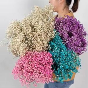 China 100g Dried Flower Artificial Bouquet Baby Breath Gypsophila Flower Wedding Decor Centerpiece wholesale
