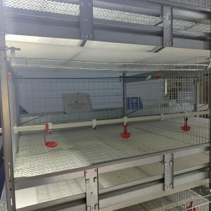 China 3-9 Floor Farm Battery Chicken Cage With Automatic System wholesale